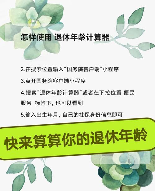 退休计算器2025最新版