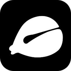 小鲜木鱼软件下载apk下载正版