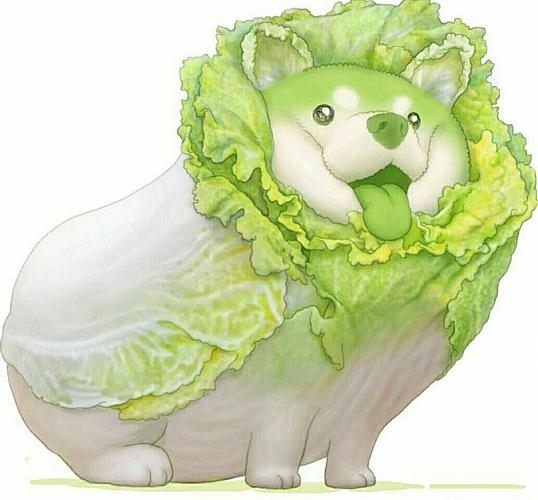 菜鸡狗