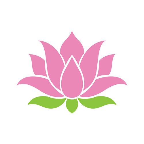 荷花app最新版本下载