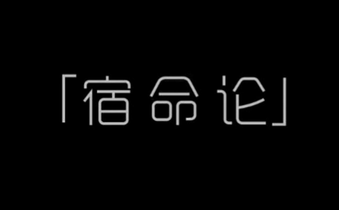宿命论官方版下载正版