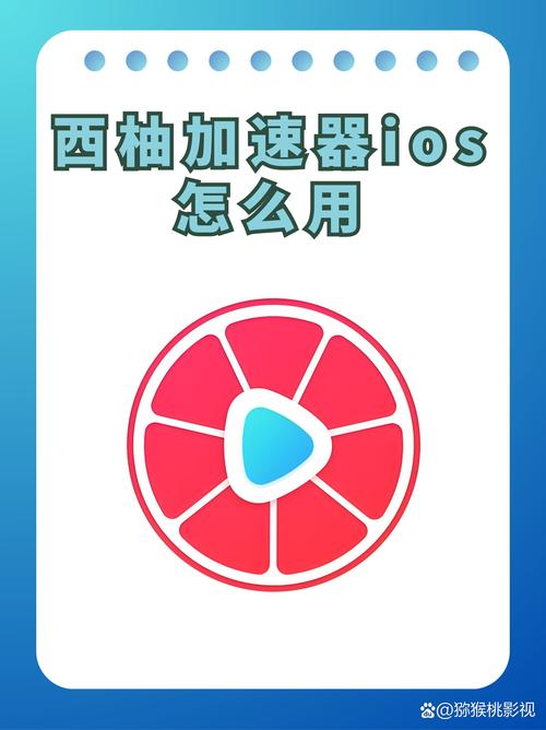 西柚加速器破解版无限vip