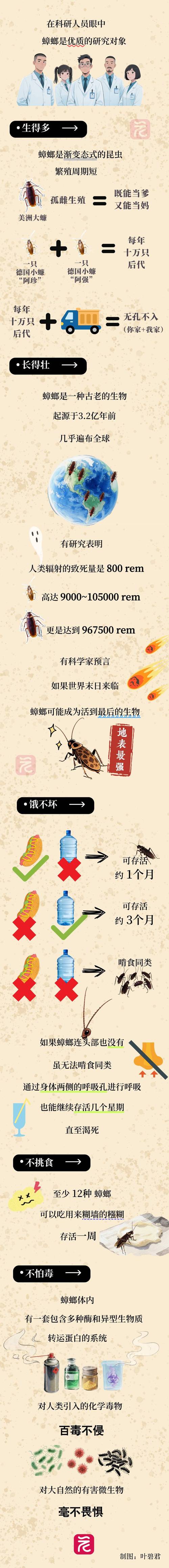 蟑螂视频安装手机版