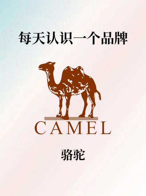 骆驼加速器免费下载2023最新版本无广告正版截图