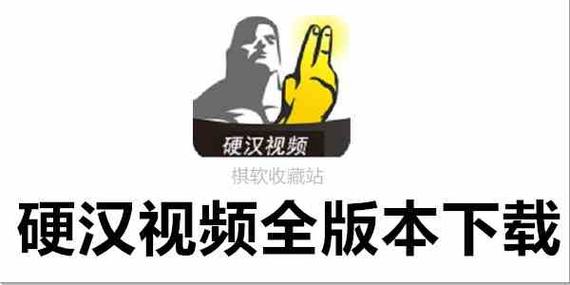 硬汉视频2022视频永久