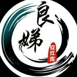 良娣软件库