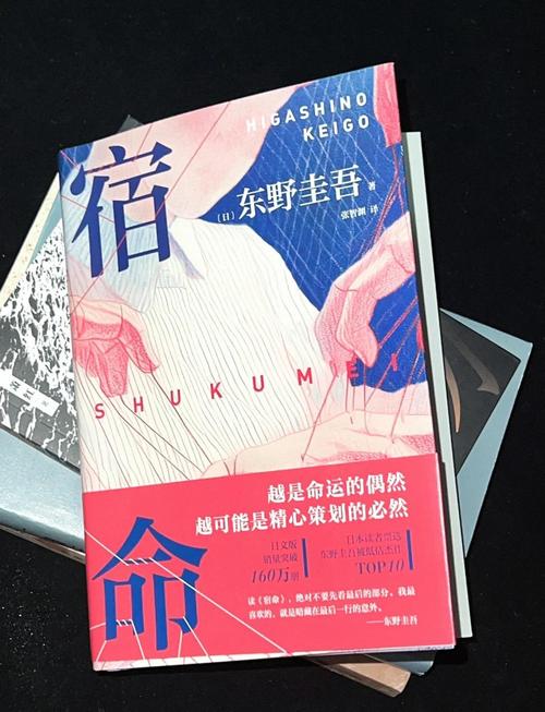宿命论汉化无删减版截图