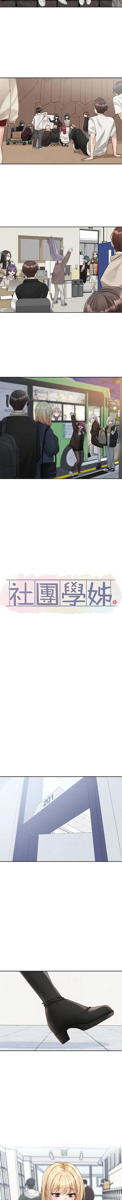 社团学姐免费阅读完整