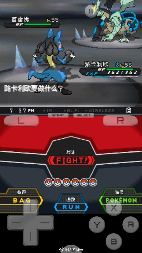 口袋妖黑白2下载4XVR播放器破解版