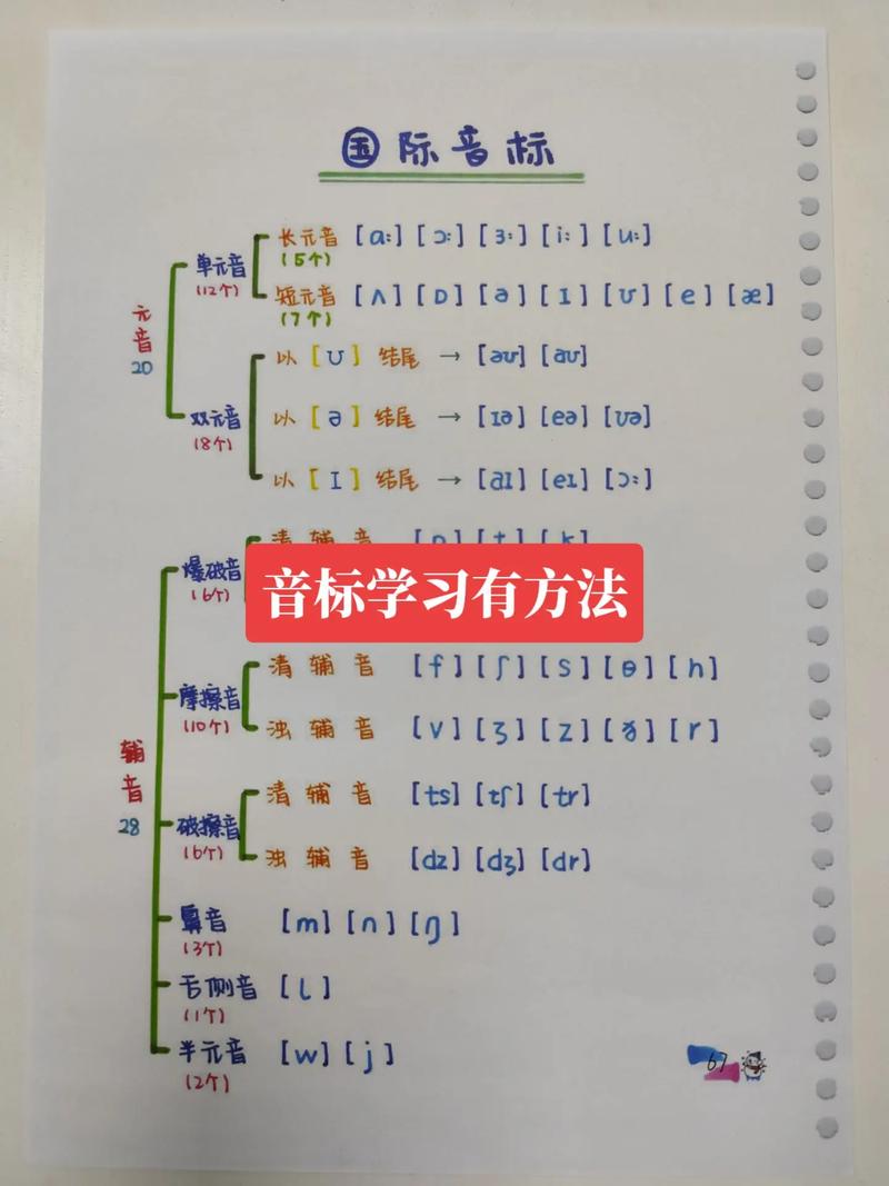 三年级的音标怎么读视频教程