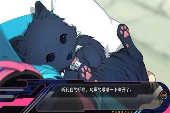 dmmd手机版汉化版安装包下载