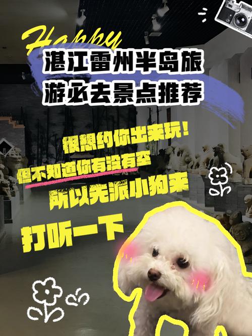 雷州半岛同城游