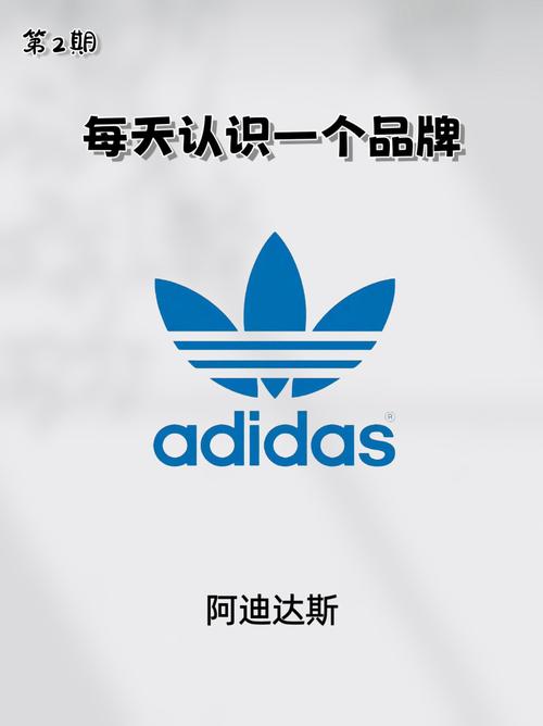 三叶草加速器破解版极速版2023