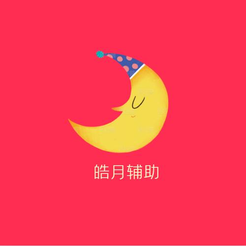 皓月辅助app截图