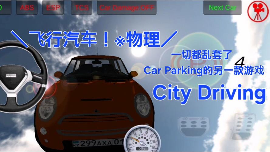 carparking游戏