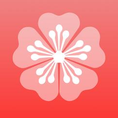 梅花视频APP旧版免费版下载