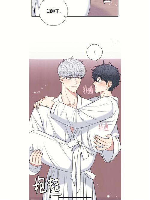 冬天之后的樱花扑飞漫画
