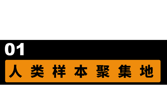 黄篇网站免费下载黑色老版
