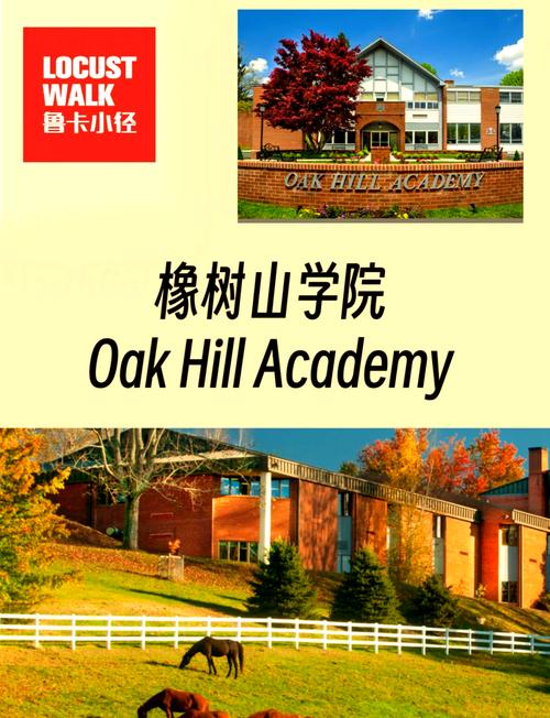橡树学院中文版入口