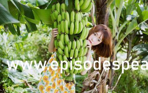 笔趣阁绿色纯净版