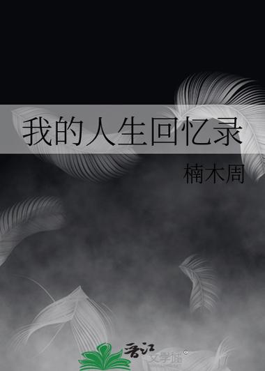 我的人生回忆录