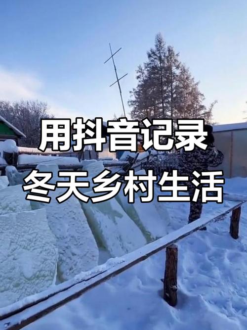 冬日乡村生活汉化版下载