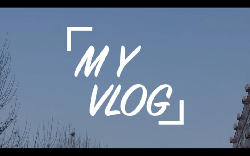 小象VLOG破解版蓝色旧版无广告