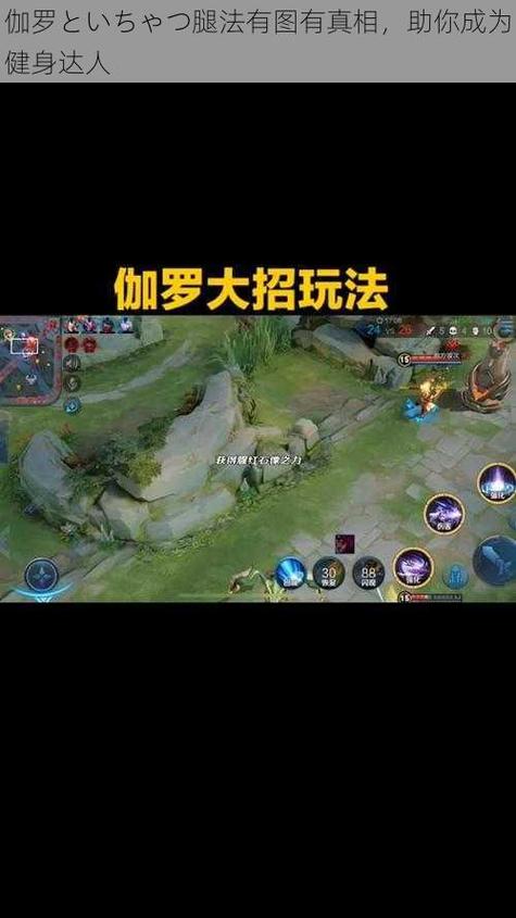 伽罗といちゃつ腿法教程视频口袋妖怪数码宝贝版进化表