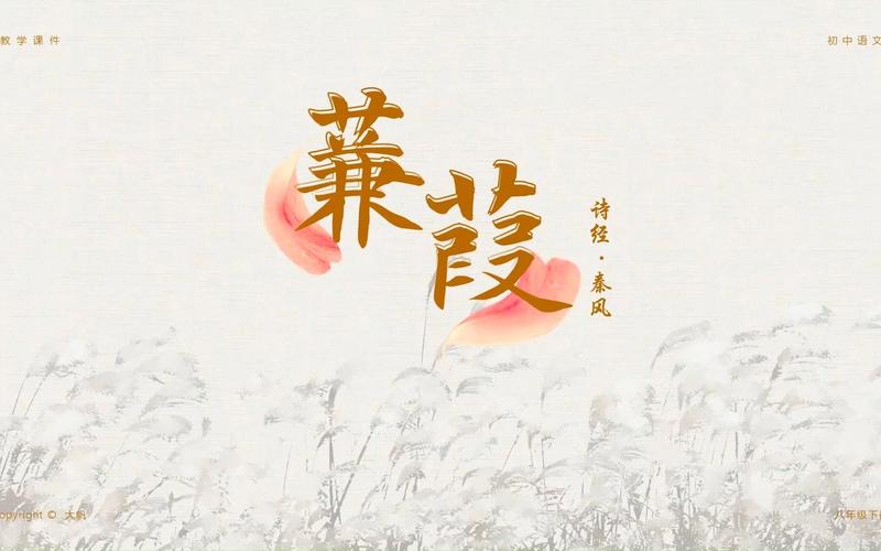 蒹葭小说