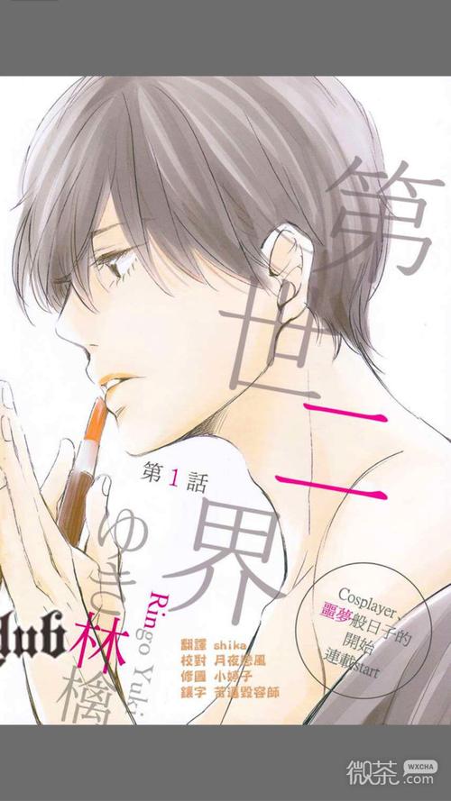 腐次元软件官方