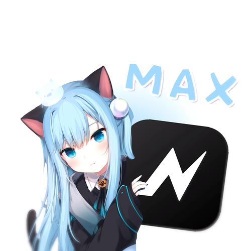 nvmax软件破解版缩略图