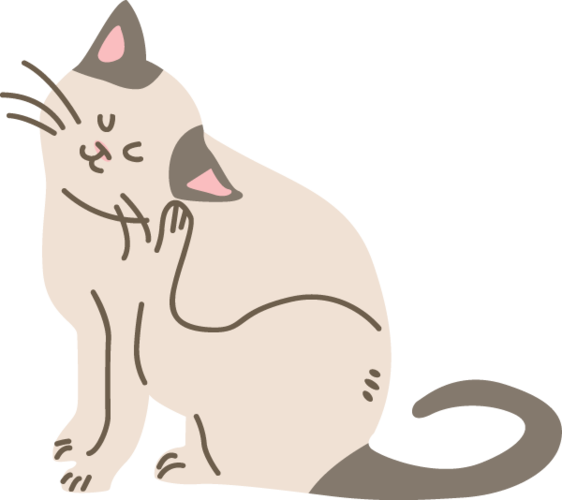 挠脚心的猫搞笑大全
