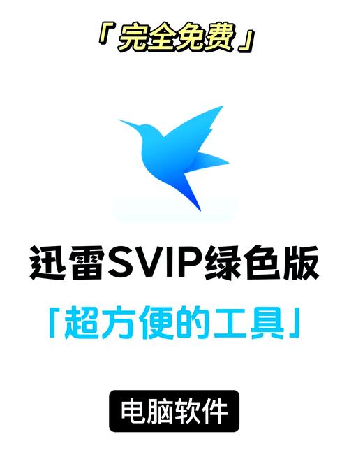 电脑上迅雷播放器哪一个好