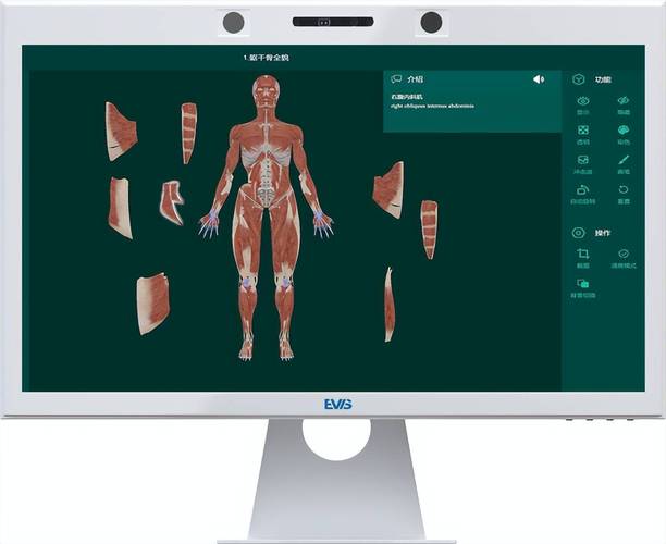 3d人体模拟器手机版