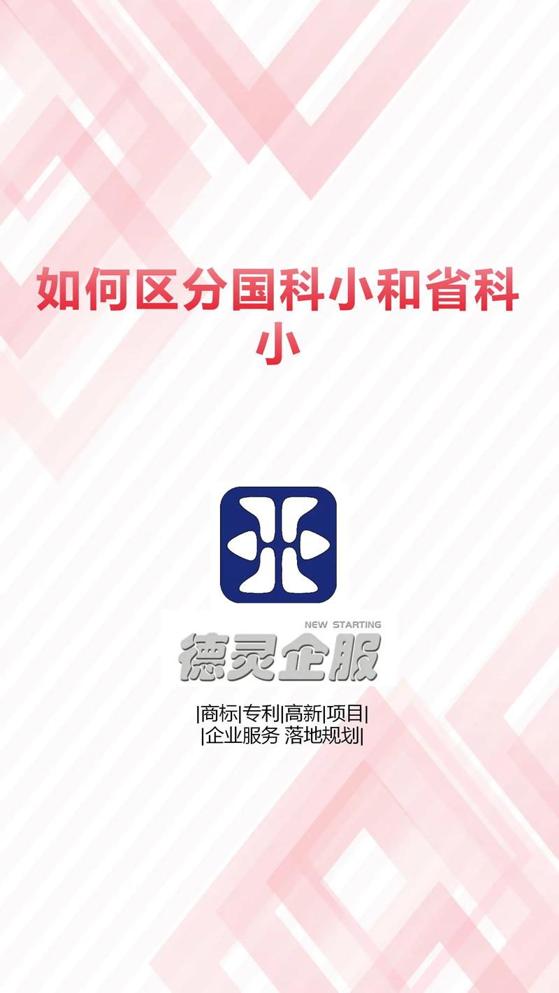 小科科视频app免费版