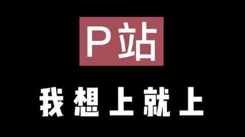 PROBURN破解版黑色老版