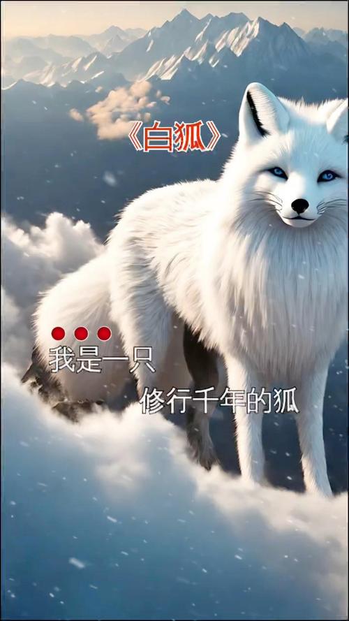 白狐移植1000款安卓游戏手机无广告安装