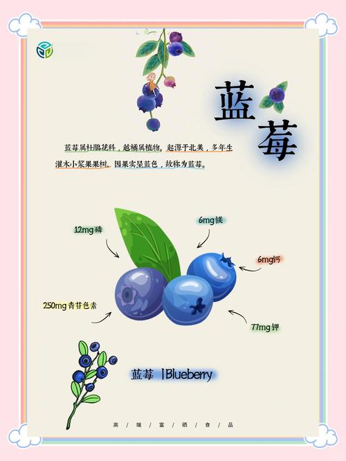 蓝莓免费小说