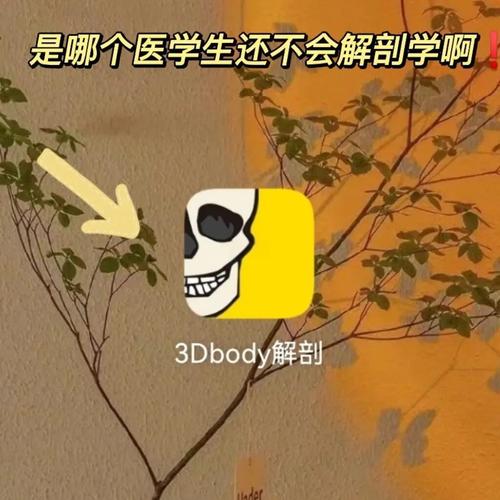 少女高校模拟器丧尸3dbody人体解剖学官网