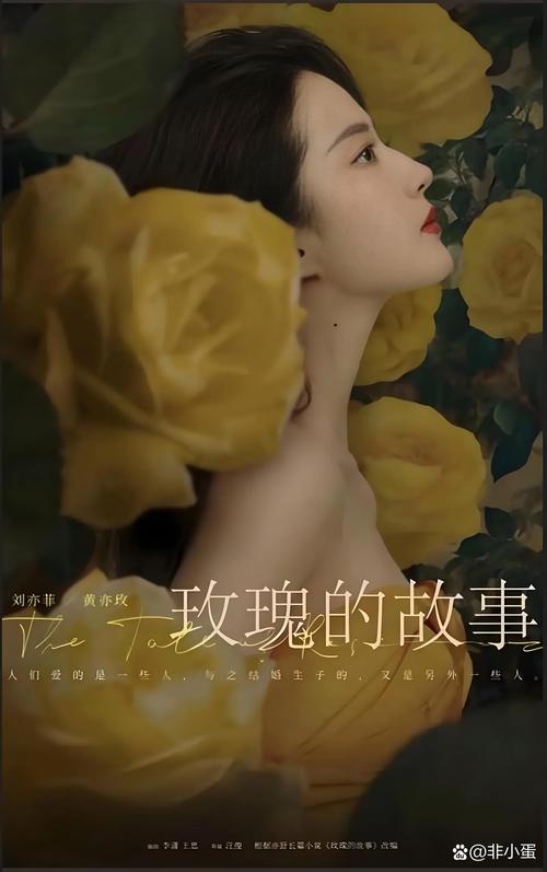 玫瑰影视破解版极速版