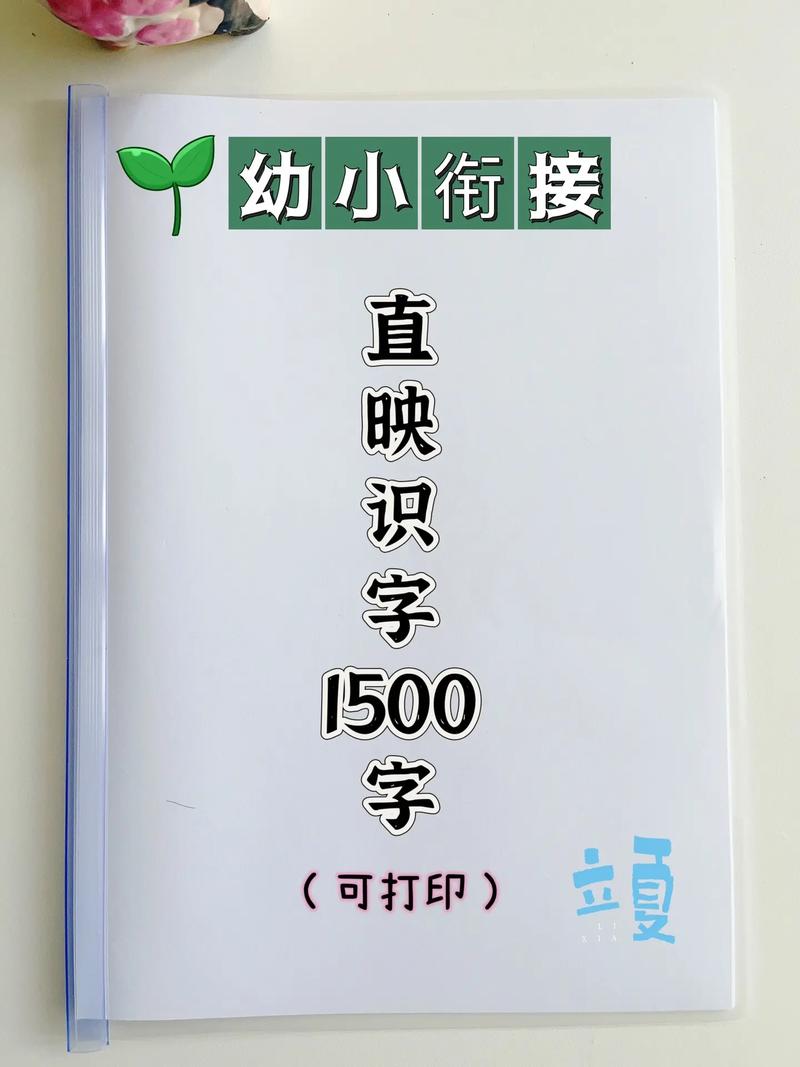 直映认字视频