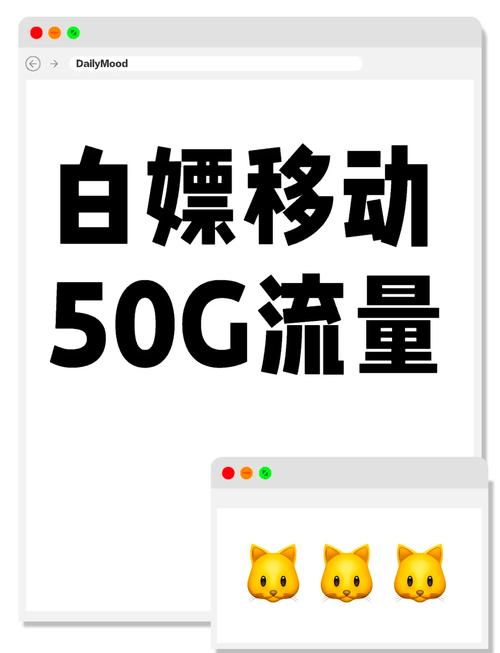 五十g流量是什么概念啊