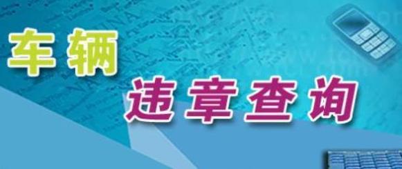 12580违章免费查询