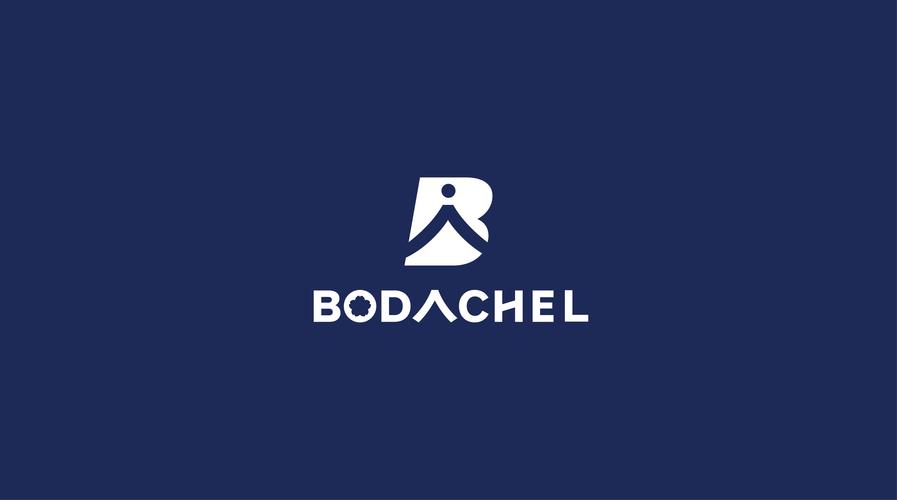 BODO官方正版安装