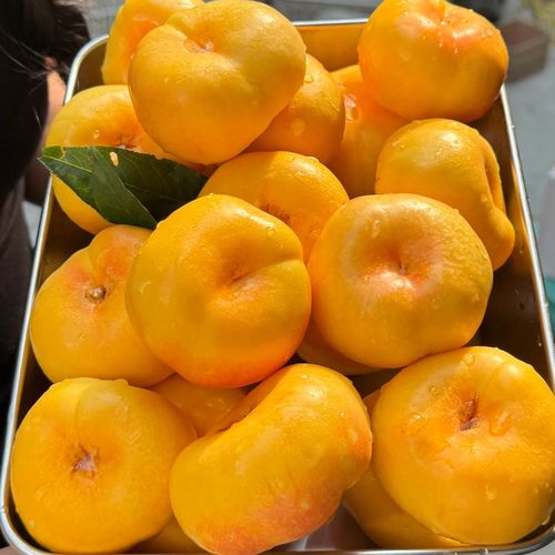 桃子移植100款黄油下载缩略图