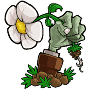 植物大战僵尸GhTr绮想馆