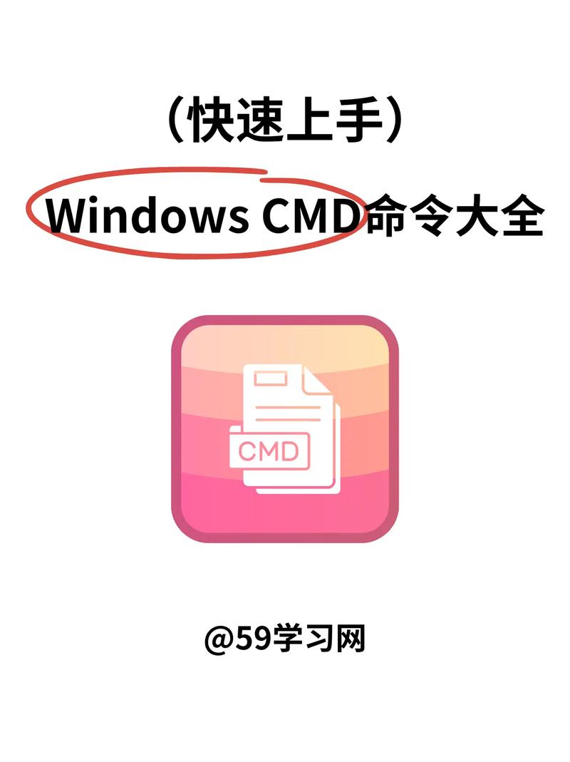 cmd终端手机版绿色版汉化版