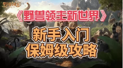 鸟人助手破解卡密教程