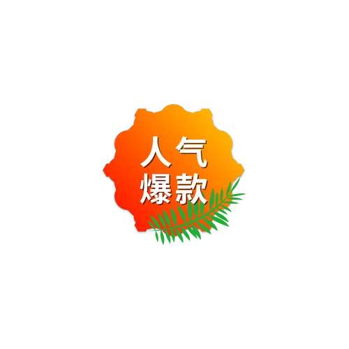 新款爆款的标题