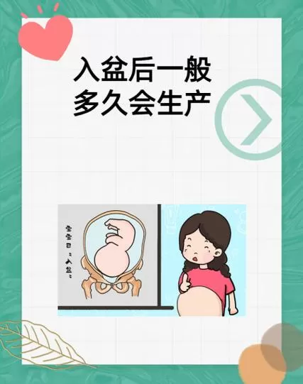 正常多少周入盆
